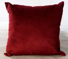 Vita Throw Pillow